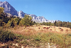 2003 - Coupe Icare 1